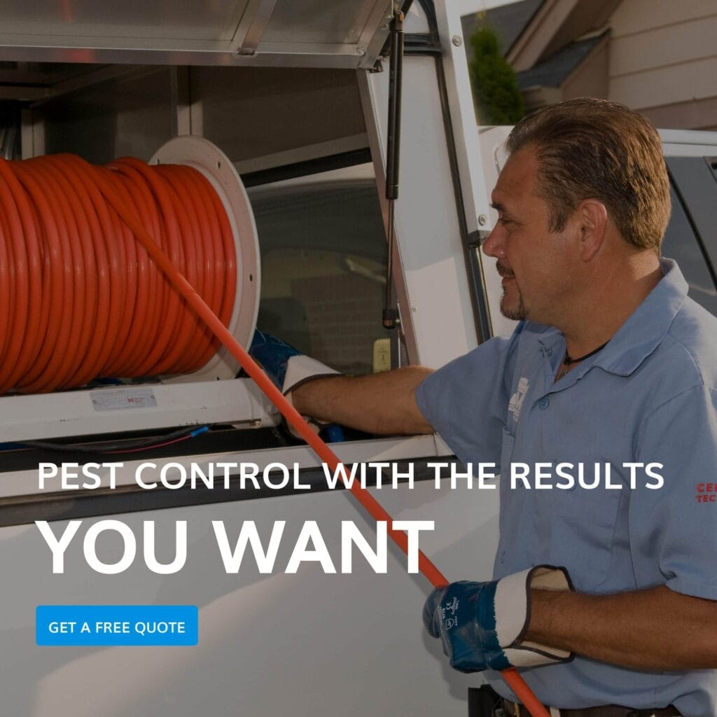 Home Pest Control Services For The Elderly photo