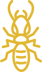 termite-pest-control-icon